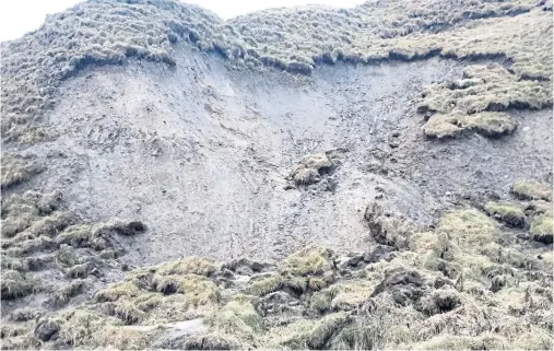  ??  ?? SLIPPAGE: The tonnes of earth and sand which tumbled down the hillside at Shelligoe, Lybster, over the Christmas holiday period