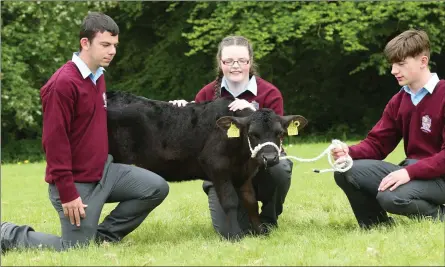  ??  ?? St. Ita’s Special School, Drogheda students Conor Belton, Alisha Crosbie and Michael McQuillan.