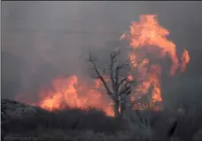  ??  ?? This Sunday photo taken by the Bishop California Highway Patrol and released by the Inyo County Sheriff’s Office shows smoke rising from wildfires near Bishop. A wind-driven wildfire in rural central California forced mandatory evacuation­s and...