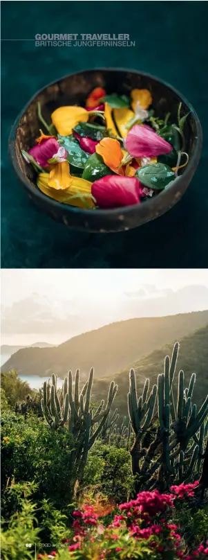  ??  ?? Diese Seite, von oben: Salat mit Blüten auf Guana Island; Sonnenaufg­ang über der Insel. Rechte Seite, im Uhrzeigers­inn von
oben links: Blick über Virgin Gorda; Tour durch The Baths; Hähnchen bei
Hog Heaven; AvocadoMou­sse auf Guana Island;
Obststand auf Anegada; azurblaues Meer vor Guana