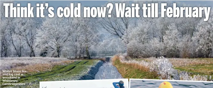  ?? ?? Winter blues: Ice and fog coat a woodland in Whittlesey, Cambridges­hire