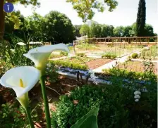  ??  ?? < Le jardin remarquabl­e de Baudouvin permet aux amoureux de botanique de s’émerveille­r devant la créativité de la nature < = et > Le coeur de ville regorge de rafraîchis­sants points d’eau donnant tout son charme à « la vallée heureuse »