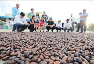  ?? HONG MENEA ?? The agricultur­e and commerce ministry-organised press tour visits a cashew processing plant in Kampong Thom province’s Chey commune, in Kampong Svay district, on November 29.