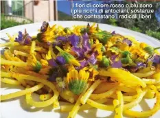  ??  ?? I fiori di colore rosso o blu sono i più ricchi di antociani, sostanze
che contrastan­o i radicali liberi