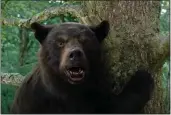  ?? UNIVERSAL PICTURES ?? “Cocaine Bear,” a comedy-horror film about a black bear that ingests cocaine, lands in theaters Feb. 24.