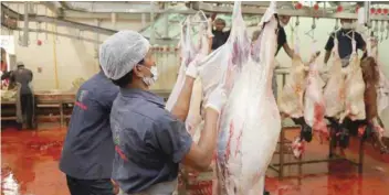  ?? ?? Muscat Municipali­ty urged the people to use its slaughterh­ouses instead of residentia­l premises for healthy handling of meat.