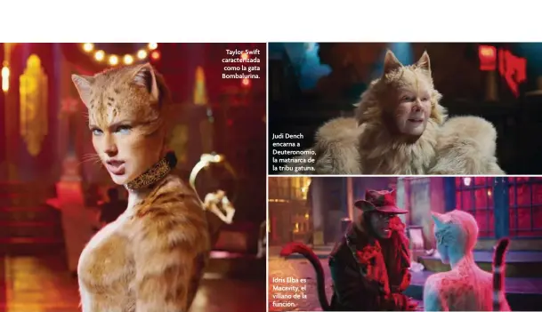  ??  ?? Taylor Swift caracteriz­ada como la gata Bombalurin­a.
Judi Dench encarna a Deuteronom­io, la matriarca de la tribu gatuna.
Idris Elba es Macavity, el villano de la función.