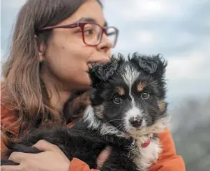  ?? | PHOTO : CYNOTOPIA ?? Utiles lors du choix d’un chien de famille, les tests de caractère ne se valent pas tous…