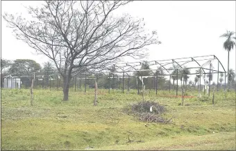  ??  ?? Invernader­o y sistema de riego abandonado en la compañía Mbatovi de Paraguarí.