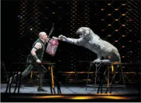  ?? JULIE JACOBSON, FILE — ASSOCIATED PRESS ?? In this May 4 file photo, Ringling Bros. and Barnum & Bailey Circus tiger trainer Taba Maluenda performs with a white tiger during a show in Providence, R.I.