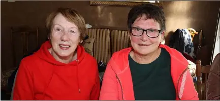  ??  ?? Kay Doyle and Barbara Walshe at the coffee morning.