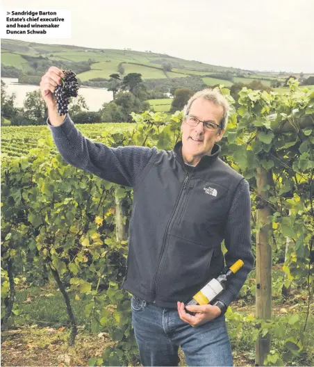  ??  ?? Sandridge Barton Estate’s chief executive and head winemaker Duncan Schwab