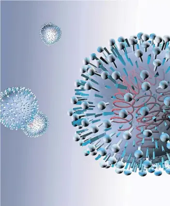  ?? FOTO: MEDICALPIC­TURE ?? Illustrati­on von Orthomyxov­iren, den Erregern der echten Influenza.