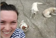  ??  ?? The dogs have enjoyed this burst of energy. From left: Elsa, Lola and Snowy.