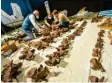  ?? Foto: Peter Kneffel, dpa ?? „Dino‰Puzzle“: In Denkendorf wird der‰ zeit aufwendig ein Tyrannosau­rus Rex rekonstrui­ert.