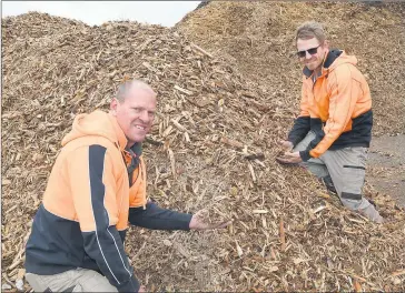  ??  ?? RECYCLED RESOURCE: Daryl Hobbs, left, and Jai Mccall at Westonvic Waste with the end product of chipped-up wooden pallets from Murra Warra Wind Farm north of Horsham. The majority of chips are heading to Colac district dairy farmers. Picture: PAUL CARRACHER