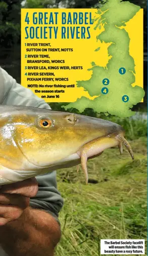  ??  ?? The Barbel Society facelift will ensure fish like this beauty have a rosy future.