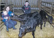  ?? 25_c01triplet­s01 ?? The calves are named after farmers Sharon and Graham Kerr’s own three children, Caryn, Robert and Murray, seen here with the beasts.