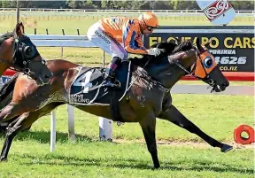  ?? RACE IMAGES ?? Avantage at full stretch, ridden by Opie Bosson, holds out Callsign Mav at Otaki.