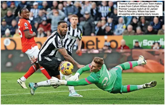  ?? ?? Thomas Kaminski of Luton Town makes a save from Callum Wilson during the Premier League match at St James’ Park in February. Wilson has been struggling with ongoing injury issues