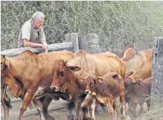  ??  ?? Powys on his ranch and (below) hugging a tree: he was once arrested while plant-hunting after straying over the border into Ethiopia