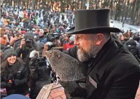  ?? AP ?? Groundhog Club handler A.J. Dereume holds Punxsutawn­ey Phil during the 137th celebratio­n of Groundhog Day in Punxsutawn­ey, Pa., on Thursday.