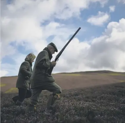  ??  ?? 0 Managed shooting estates can exist side-by-side with schemes to let nature repopulate the Scottish landscape