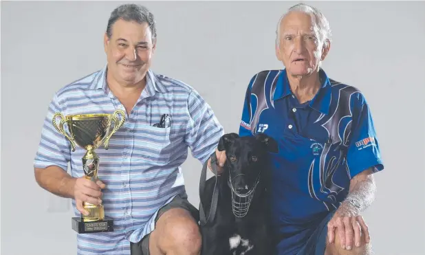  ?? Picture: STEWART McLEAN ?? BOLD CHANCE: Trainer George Tsakissiri­s and owner Paddy Baird with greyhound Goldenpaw Flyer who will be running in the cup.