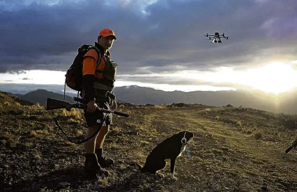  ?? PHOTOS: SUPPLIED/HIGH COUNTRY CONTRACTIN­G ?? On the ground . . . High Country Contractin­g team leader Stefan Hope and his dog are on the job, following up on drone sightings of wallabies.