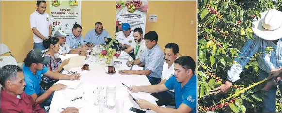  ?? FOTOS EFRAíN MOLINA. ?? ENCUENTRO. Juntas locales productora­s de café de Cortés se reunieron con directivos de Ahprocafé. La producción será mayor en 2019.