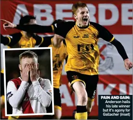  ?? ?? PAIN AND GAIN: Anderson hails his late winner but it’s agony for Gallacher (inset)