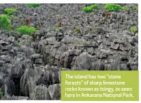  ??  ?? The island has two “stone forests” of sharp limestone rocks known as tsingy, as seen here in Ankarana National Park.