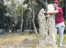  ?? LILIANA RINCÓN BARAJAS/ADN ?? Vecinos y ambientali­stas lamentaron el corte de las plantas.