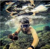  ??  ?? Brando Yelavich, here diving for his lunch at Cape Reinga during a 8000km journey around New Zealand in 2014, has entered the two-day Coast to Coast race.