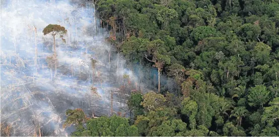  ?? RICARDO MORAES/REUTERS–26/9/2019 ?? Bioma. Queimadas costumam ser última etapa da destruição da floresta, que começa com o desmatamen­to; apreensões diminuíram no mês de setembro