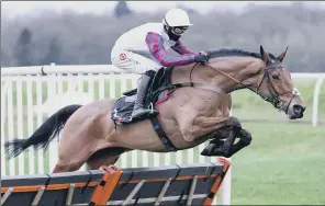  ?? PICTURE: PA ?? BRAVEMANSG­AME: Is due to run in the Novices’ Hurdle for owner John Dance.