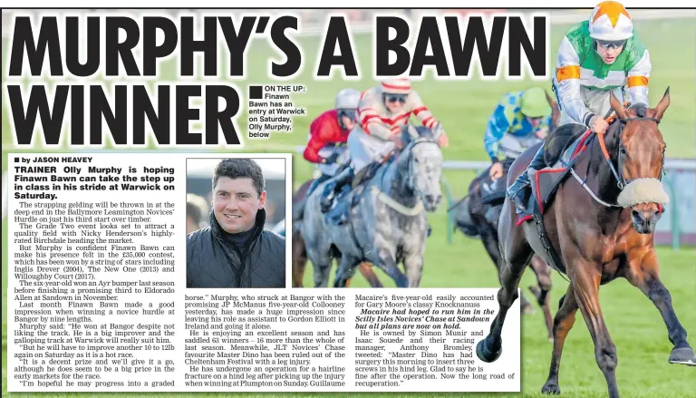  ??  ?? ON THE UP: Finawn Bawn has an entry at Warwick on Saturday, Olly Murphy, below