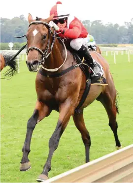  ??  ?? THIRD TIME LUCKY. Apprentice Lyle Hewitson already has two wins on Maximizer and will be hoping for a third in Race 3 at the Vaal tomorrow.