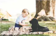  ?? MATT PORTEOU / DUKE AND DUCHESS OF CAMBRIDGE / AFP ?? Prince George celebrates his third birthday in 2016 with family dog Lupo. Messages of support flooded in Sunday
after the announceme­nt of the dog's death.