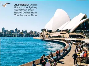  ??  ?? AL FRESCO: Diners flock to the Sydney waterfront. Inset, below: Dishes from The Avocado Show