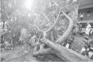  ?? — Gambar Bernama ?? TUMBANG: Sebatang pokok tumbang menghempap motosikal yang diparkir berhampira­n berikutan hujan lebat serta ribut di Jelutong awal pagi semalam.