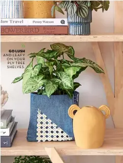  ??  ?? GO LUSH AND LEAFY  ON YOUR  PLY TREE  SHELVES