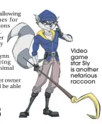  ??  ?? Video game star Sly is another nefarious raccoon