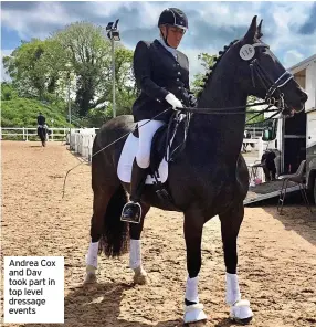  ?? ?? Andrea Cox and Dav took part in top level dressage events