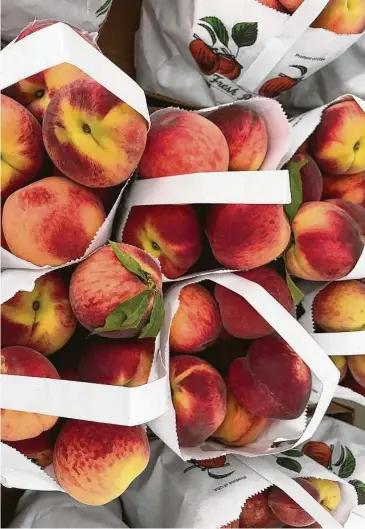  ?? Greg Morago / Staff ?? Texas peaches from Lightsey Farms in Mexia are available at the Urban Harvest Farmers Market. This year’s bumper crop should serve chefs and home cooks well.