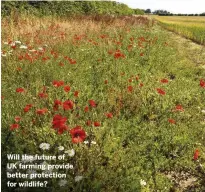  ??  ?? Will the future of UK farming provide better protection for wildlife?