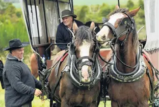  ??  ?? A word in your ear . . . Jim Crawford checks the harness, watched by Graham Kenny, on the Cobb and Co heavy wagon trail.