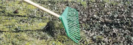  ?? TRIBUNE NEWS SERVICE ?? Use a rake or leaf blower to remove yard waste from flower beds before the summer season.
