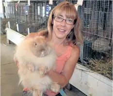  ??  ?? Marie Vis, of Wainfleet, shows one of her award-winning Angora rabbits during the fall fair at the Wainfleet village fairground­s Saturday afternoon. Three of her rabbits won top prizes.