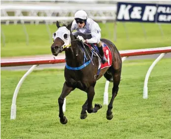  ?? PHOTO: NEV ?? WINNING RIDE: Baylee Nothdurft and One Golden Day win race one at Clifford Park.